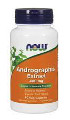 Andrographis Extract Now Foods