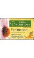 Echinacea na odporność